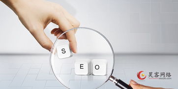 深圳龍華網(wǎng)絡(luò)推廣與信息技術(shù)咨詢服務(wù)全解析