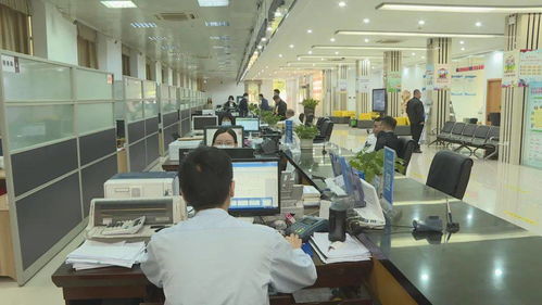 區(qū)便民服務(wù)中心榮獲“廣東省青年文明號(hào)”稱號(hào)，信息系統(tǒng)集成服務(wù)再上新臺(tái)階